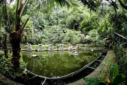 BMKG: Hujan Lebat dan Angin Kencang Intai Bandung, Waspada Pohon Tumbang